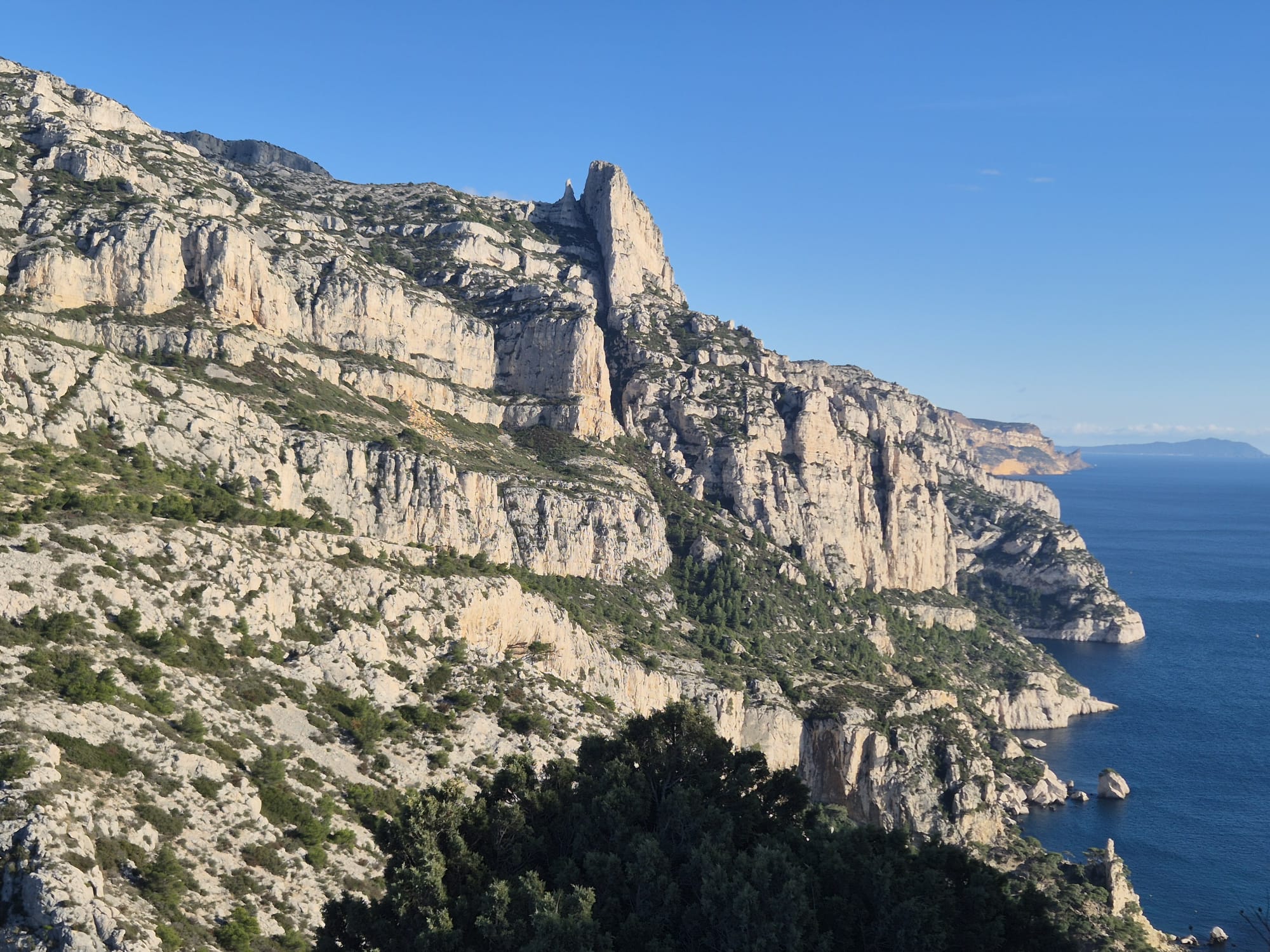 Description of the image